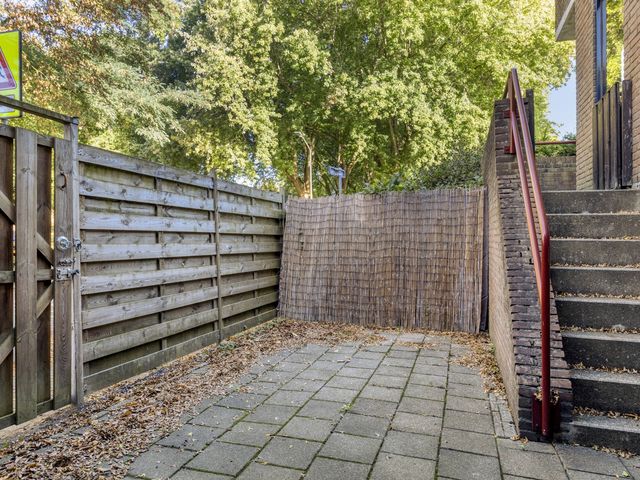Zoom 45, Oisterwijk