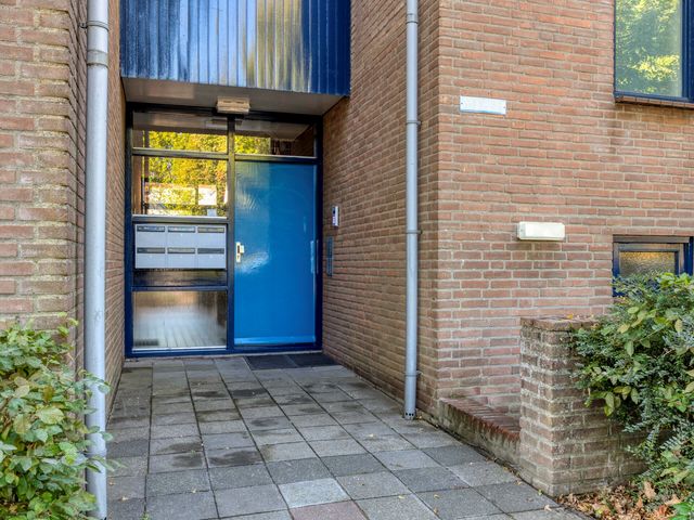 Zoom 45, Oisterwijk
