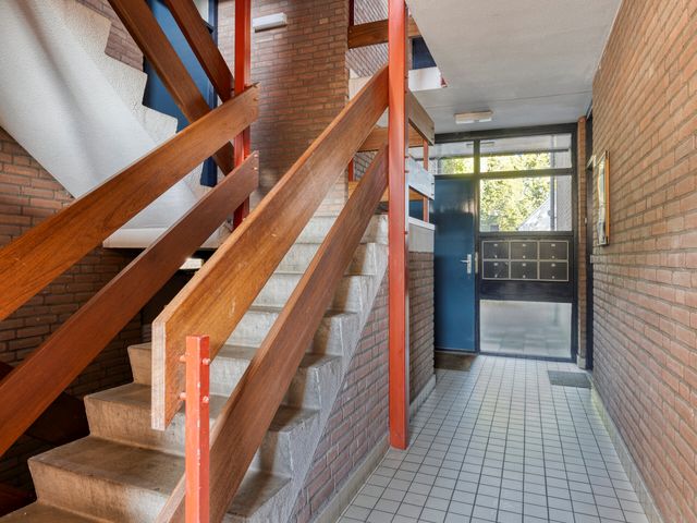 Zoom 45, Oisterwijk