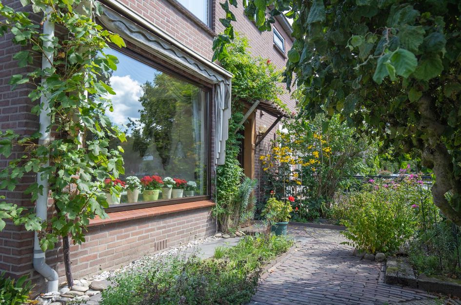 Nico Bergsteijnweg 123