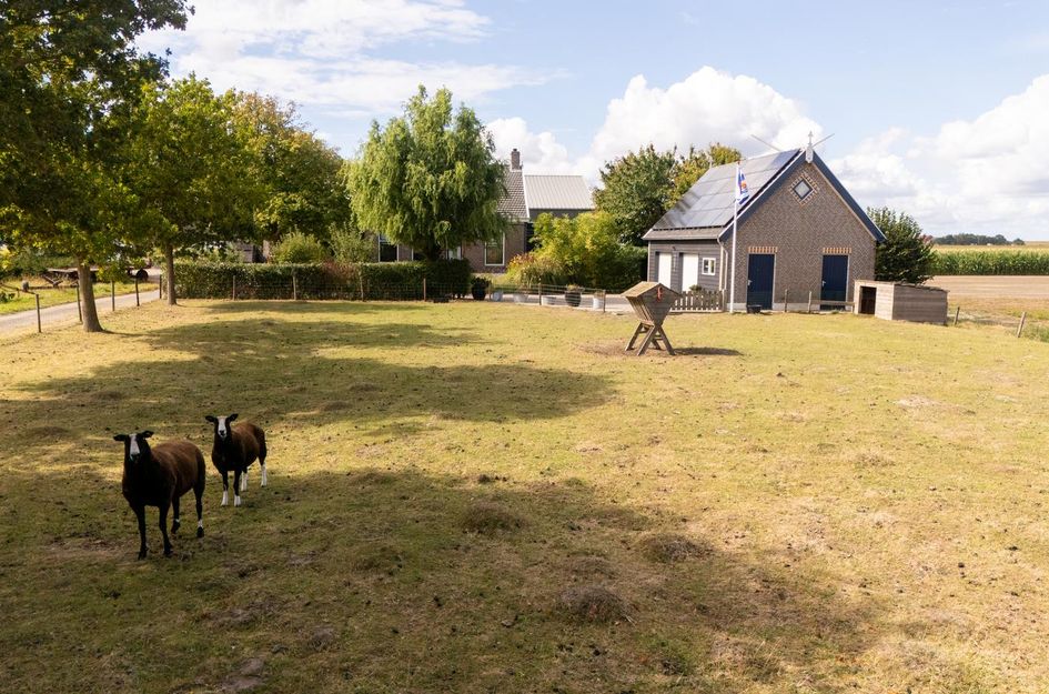 Hogeweg 67