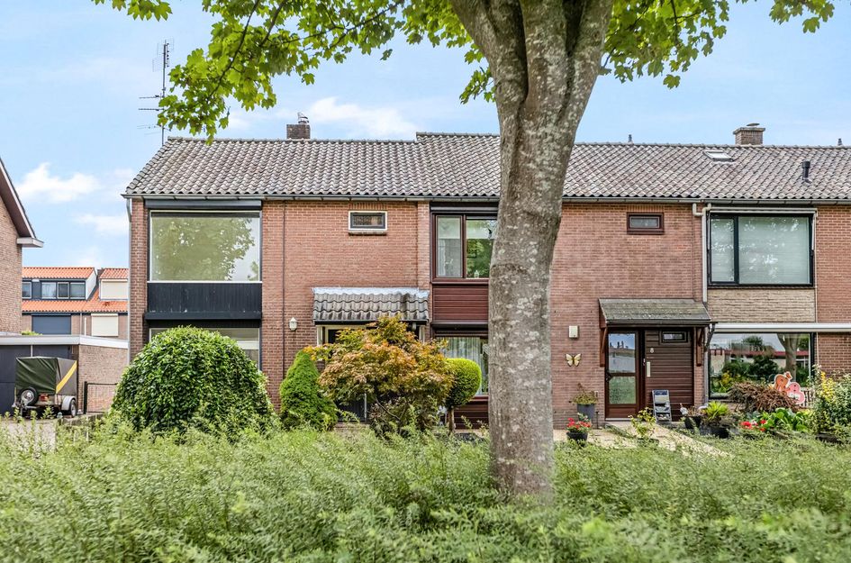 Van Hallstraat 10