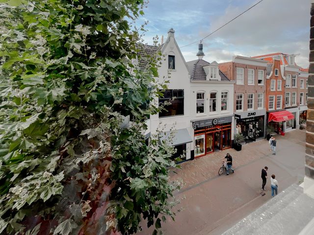 Grote Houtstraat 145C, Haarlem