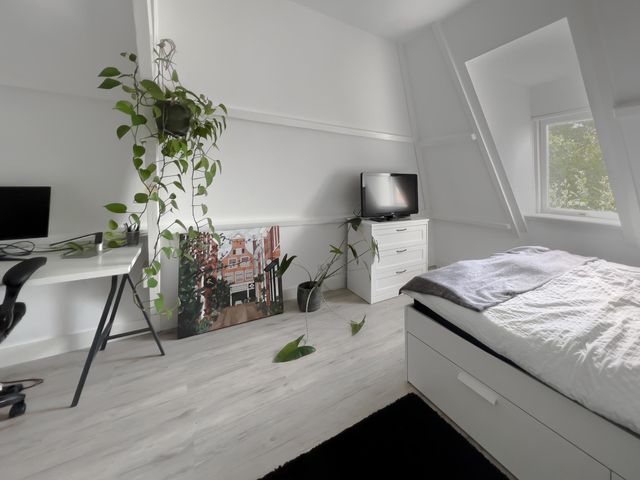 Grote Houtstraat 145C, Haarlem