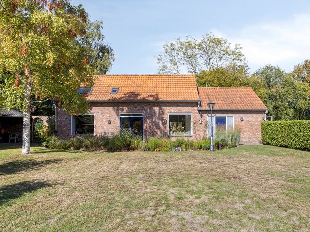 De Gebuurte 5, Overslag