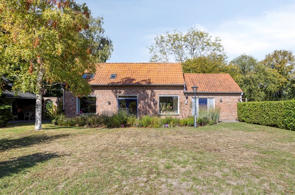 De Gebuurte 5