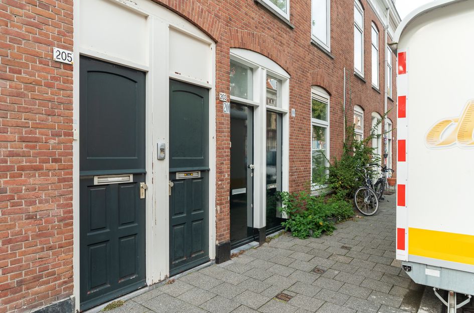 Newtonstraat 199