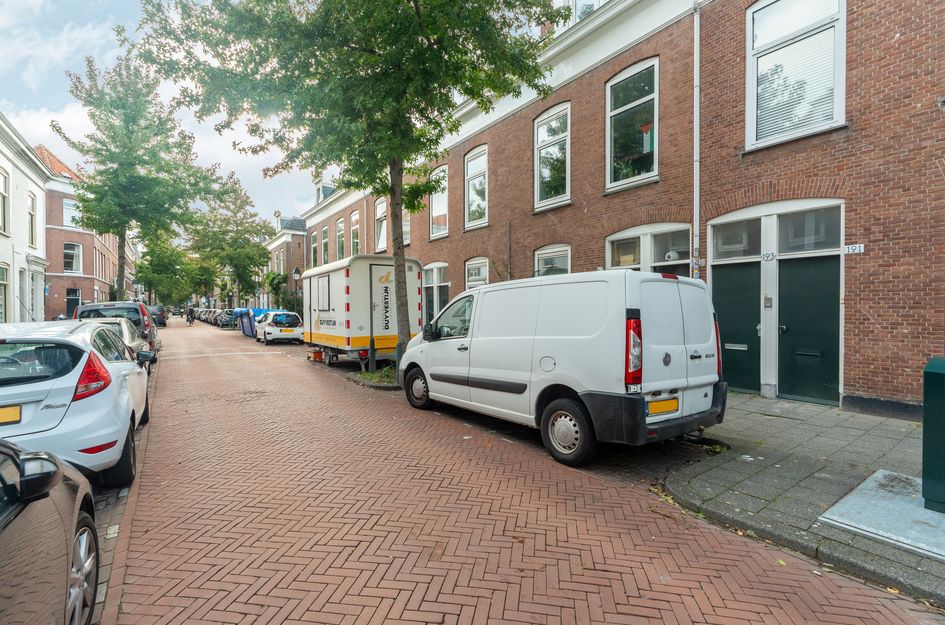 Newtonstraat 199