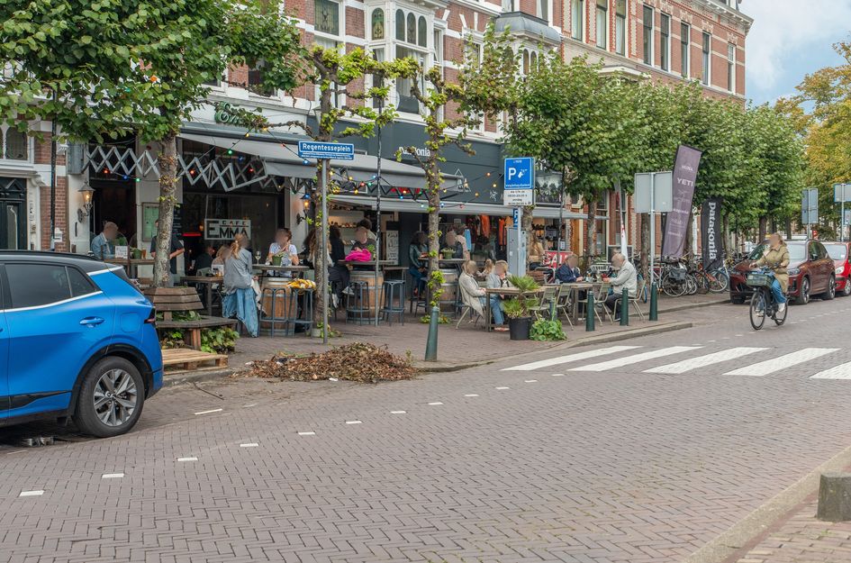 Newtonstraat 199