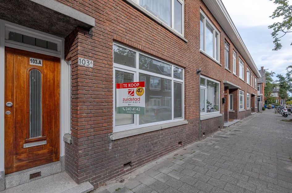 Nieuwenhoornstraat 103A