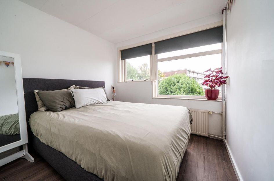 Hordijk 52