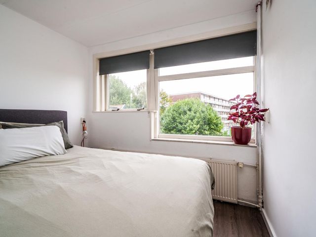 Hordijk 52, Rotterdam