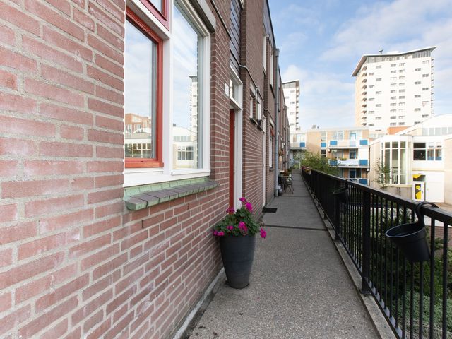 Van Leeuwenhoekstraat 50, Den Haag