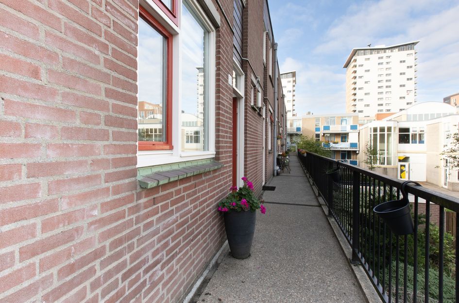 Van Leeuwenhoekstraat 50