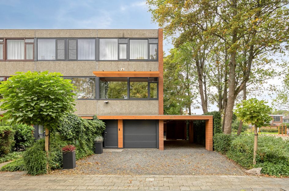Akkerdistel 1