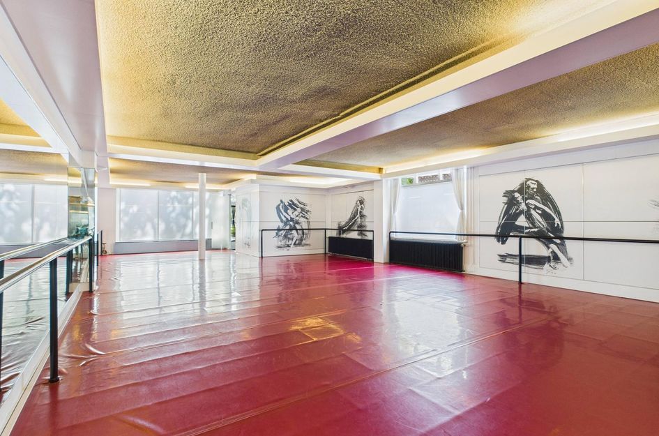 van Steenbergenlaan 2