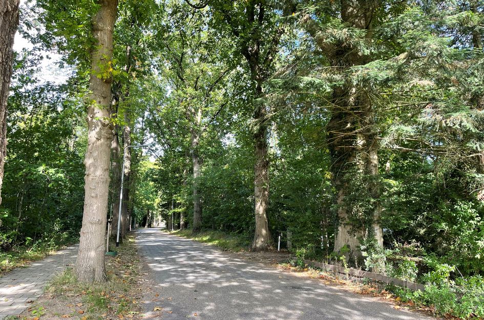 Oude Postweg 8