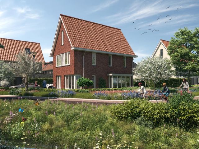 Vrijstaande villa's , Tholen