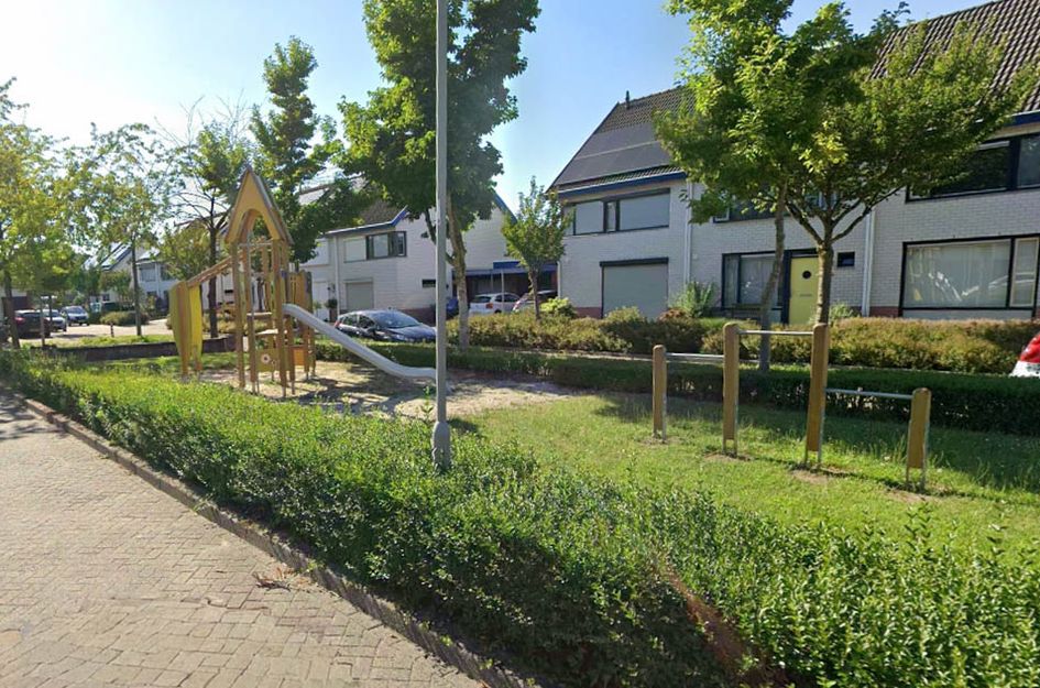 Vogelwikke 6