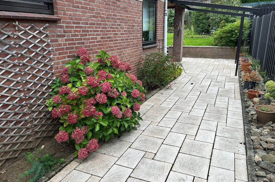 Buijsroggestraat 9