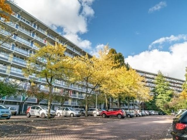 Zijldonk , Leiden