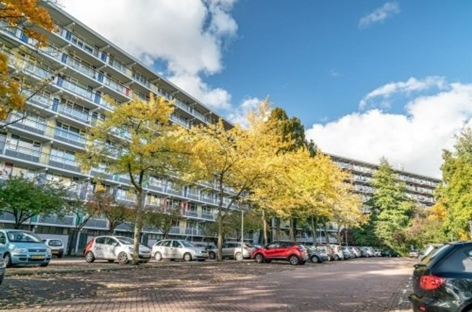 Zijldonk 