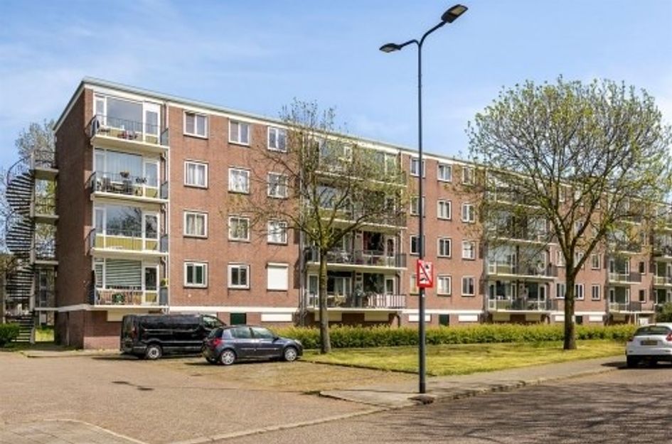 Maassingel 