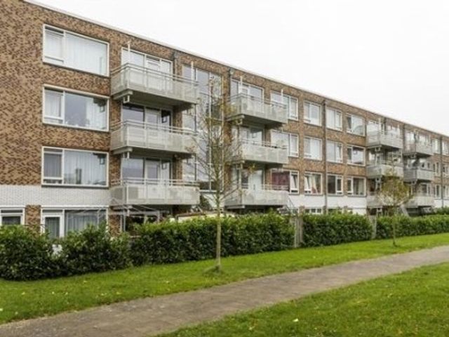 Hongkongdreef , Utrecht