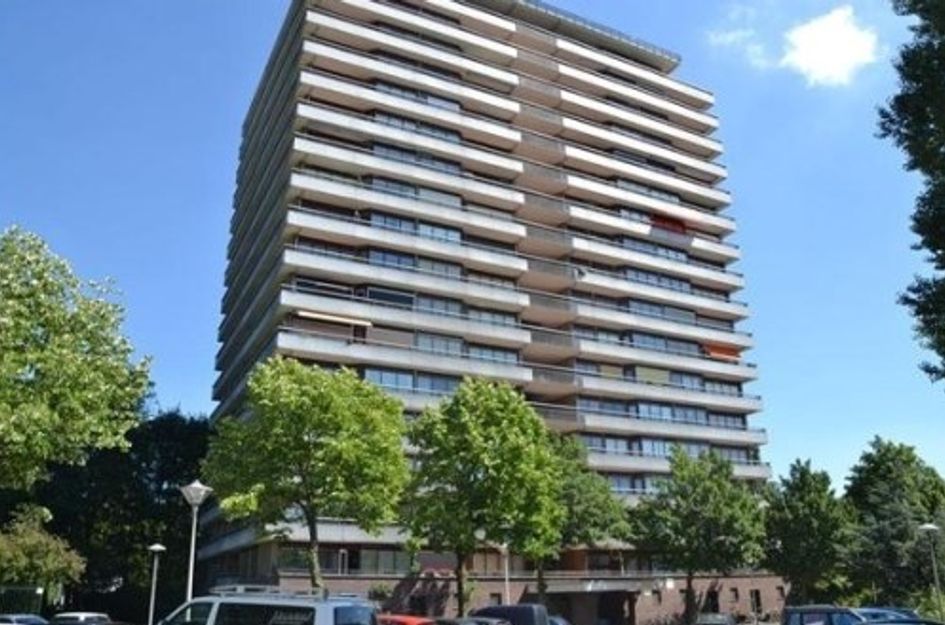 Livingstonelaan 