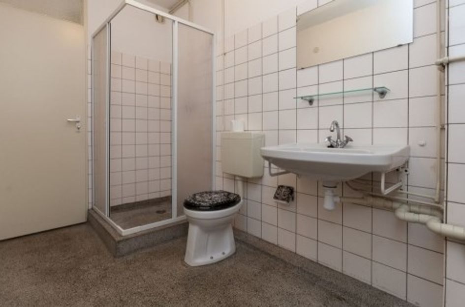 Rümkelaan 
