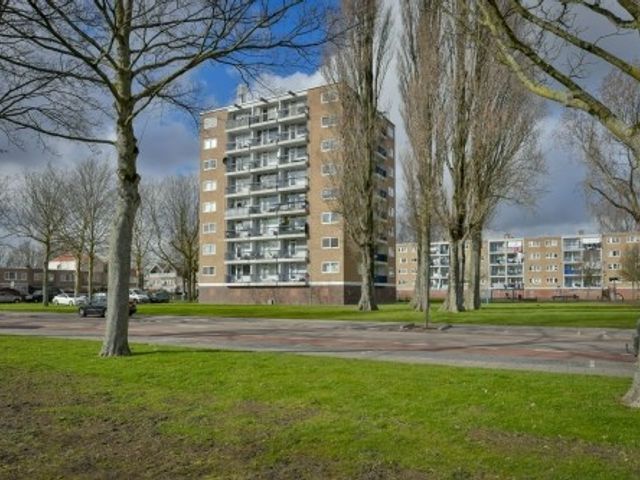Zuidervaart , Zaandam