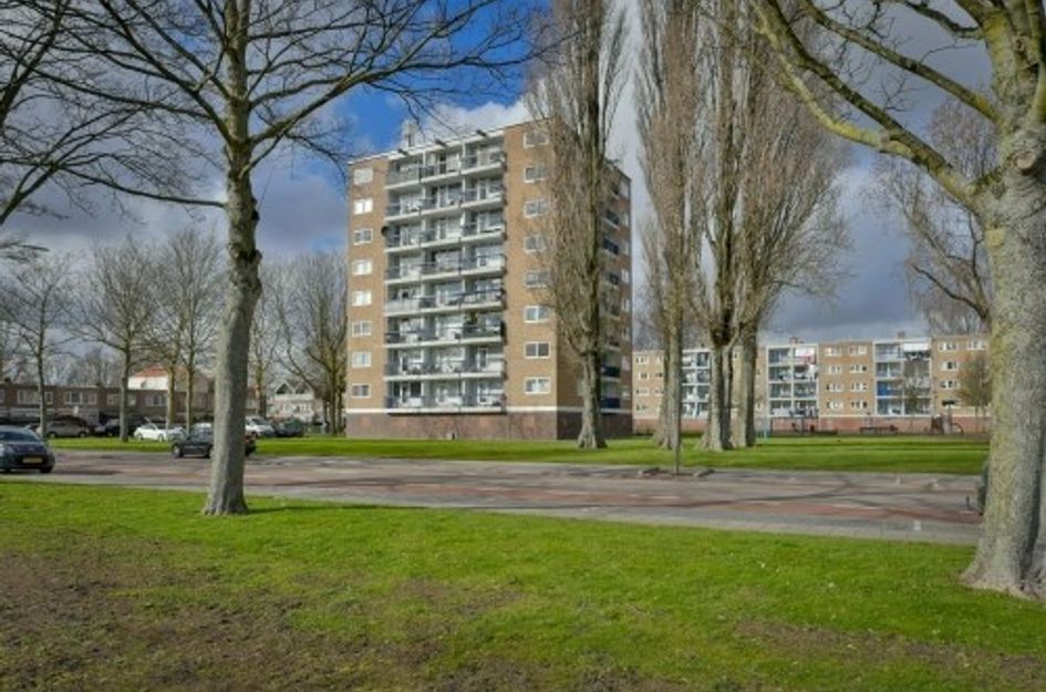 Zuidervaart 