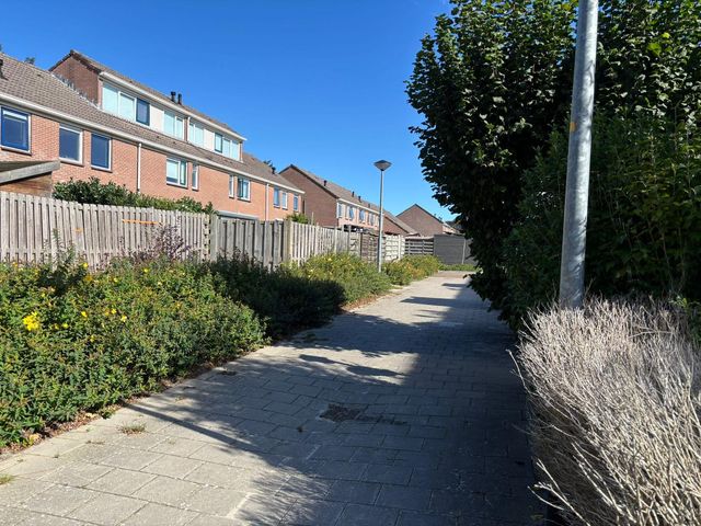Dahlialaan 2, Winkel