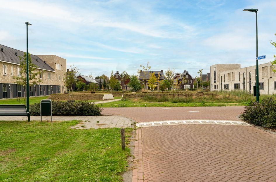 Paardebloem 12