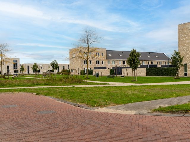 Paardebloem 12, Dongen