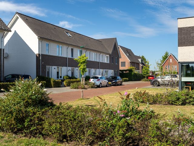 Paardebloem 12, Dongen