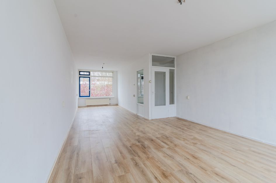 Van Der Haertstraat 45