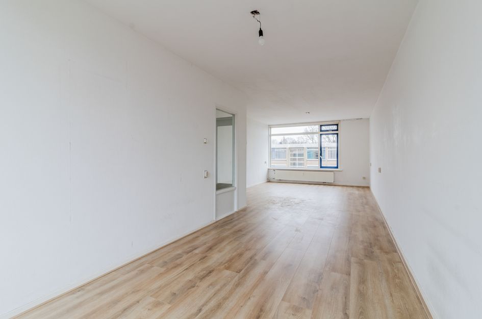 Van Der Haertstraat 45