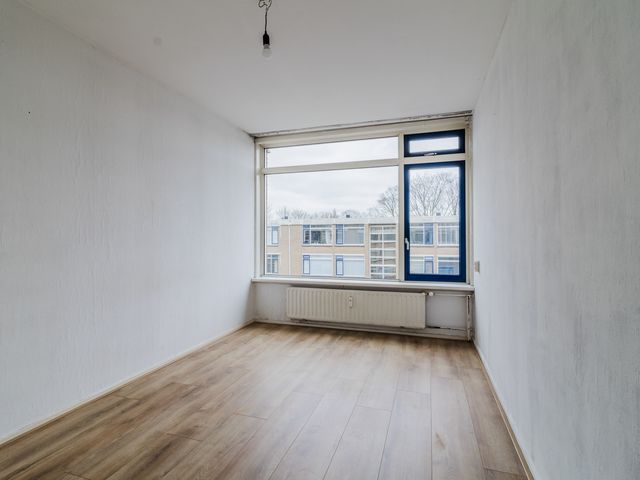 Van Der Haertstraat 45, Delft