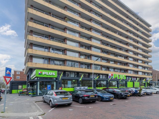 Van Der Haertstraat 45, Delft