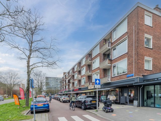 Van Der Haertstraat 45, Delft