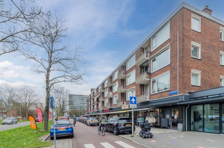 Van Der Haertstraat 45