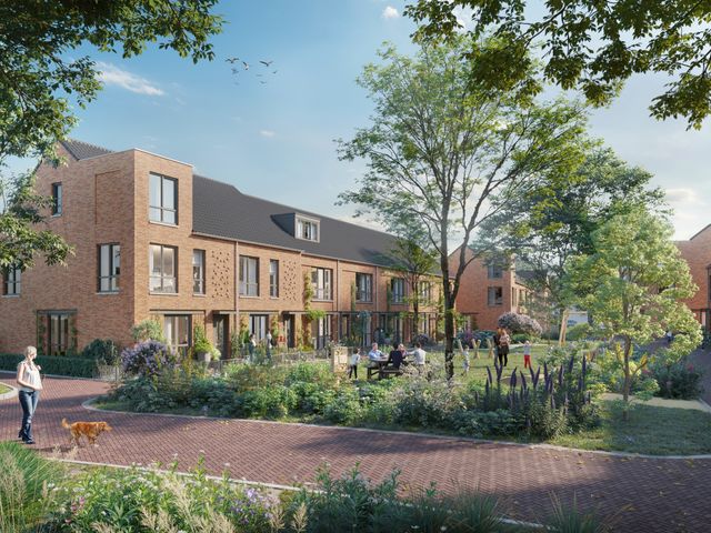 Zonnebloemstraat , Veenendaal