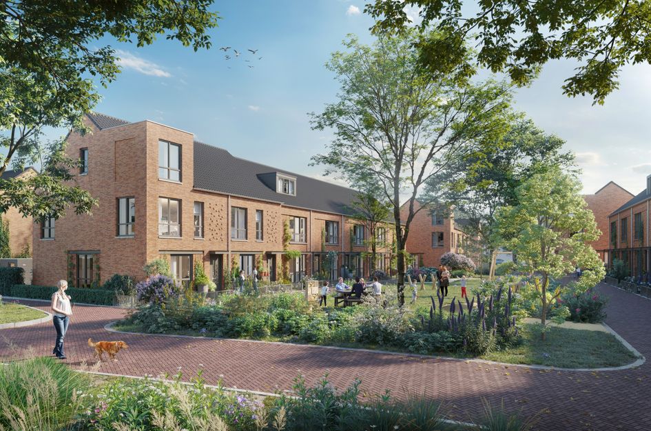 Zonnebloemstraat 