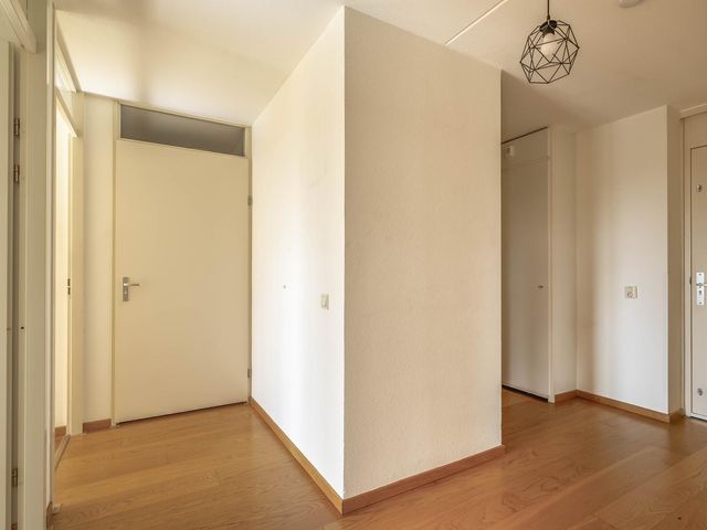 Veldzuring 47, Venlo
