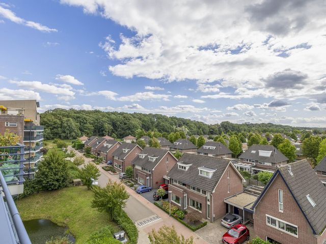 Veldzuring 47, Venlo