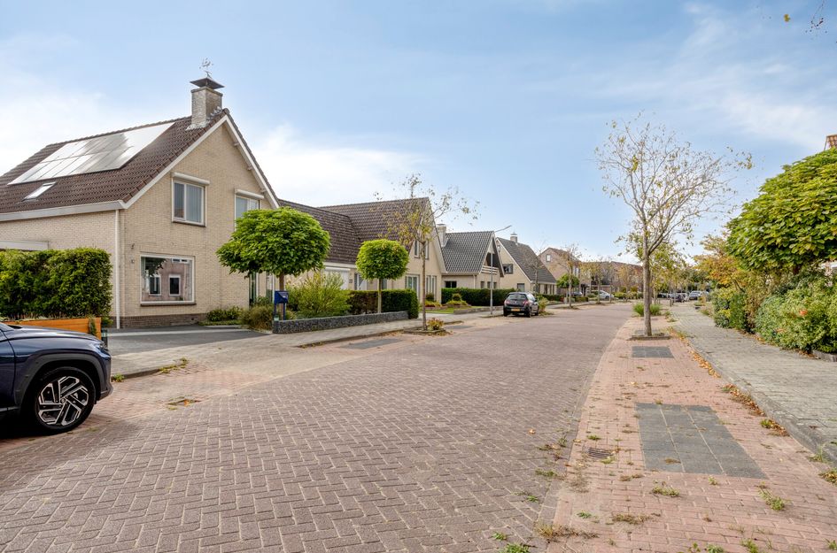Klaverakker 31