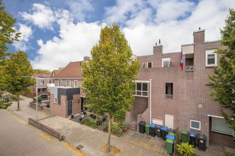 Woudrichemstraat 17