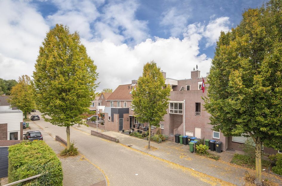 Woudrichemstraat 17