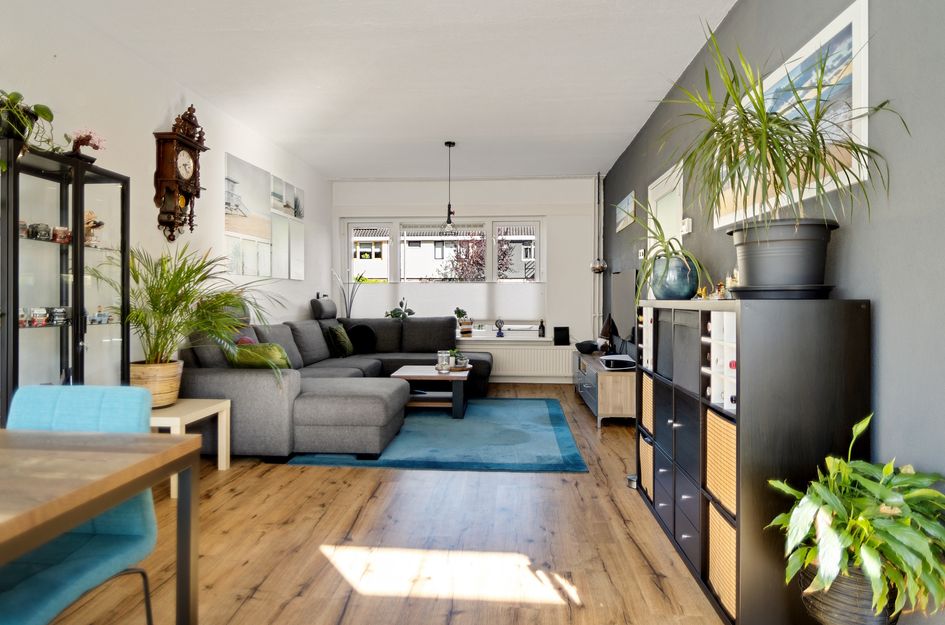 Hertog Albrechtstraat 289